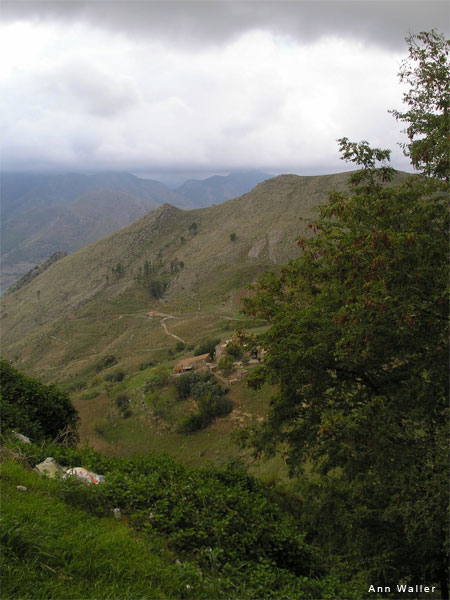 Sicilian Landscape by Ann Waller